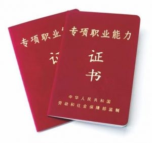 目前，全國職稱評審信息查詢平臺已正式上線試運行！